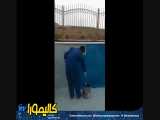 عایق کاری   بدون ایجاد لایه   استخر کشاورزی - زنجان 