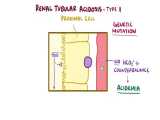 Renal Tubular Acidosis 