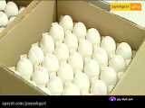 اعلام قیمت تخم‌مرغ توسط ستاد تنظیم بازار