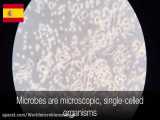 روز جهانی میکروبیوتا