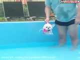 آب بازیه نازترین سگ دنیا!