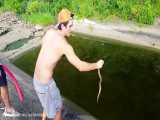 How To Catch A Water Snake With Your Bare Hands آموزش مارگیری مار آبی FULL HD