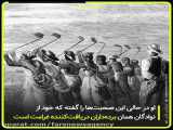 فارس پلاس| برده‌داران همیشگی