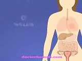 تغییرات بدن در بارداری