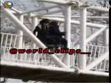 لحظه خودکشی ناموفق 2 دختر جوان از روی پل عابر پیاده در تهران ‍