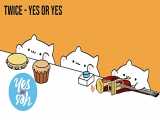 آهنگ yes or yes از توایس || twice ورژن گربه کیوت