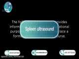 Spleen ultrasound in atria
