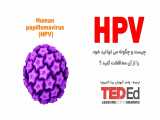 HPV زگیل تناسلی چیست و چگونه می تواند خود را از آن محافظت کنید؟