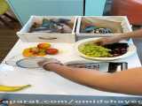 آموزش غذا دادن به جوجه طوطی ماکائو آبی طلایی