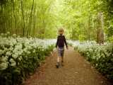 کلیپ راه رفتن پسر بچه در میان جنگل رویایی