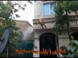 نماشویی ساختمان با طناب تهران 