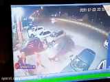 فیلمی از حمله وحشیانه اراذل و اوباش به رستورانی در سرخرود مازندران