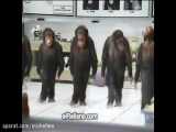 رقص قشنگ پنج شامپانزه کله پوک