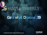 ویروس کورونا چطور عمل می‌کند؟