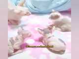 یک فیلم خنده دار
