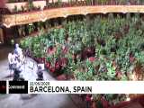 کنسرت برای کلروفیل در حضور ۳ هزار گلدان در اسپانیا