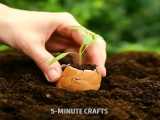 18 ایده خلاقانه برای پرورش باغ و گیاه
