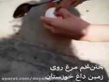 پختن تخم‌مرغ روی زمین داغ خوزستان در ۴۰ ثانیه‌