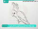 اموزش کشیدن نقاشی طوطی کاکلی برای کودکان و نوجوانان