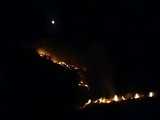صدای ضجه حیوانات گرفتار در آتش گسترده منطقه  گاچال  بخش طرهان کوهدشت