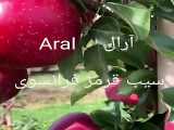 سیب رد فرانسوی،انواع سیب،انگور،گردو،بادام دیر گل،آلو و....Aral Nahal .ir