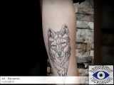 تتو گرگ  wolf tattoo