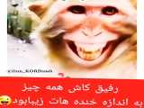 زیبا ترین خنده