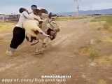 خنده دار قسمت ۱۳