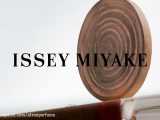 Issey Miyake Wood  Wood - Atran Perfumes