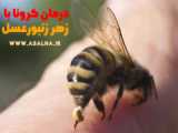 درمان کرونا با زهر زنبورعسل از نظر پروفسور عظیم اکبرزاده