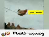 حال و هوای خانوما تو این گرونی سکه