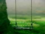   زندگی کن