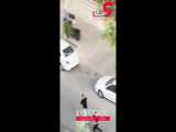 زن مطلقه 2 گروه مخوف تهرانی را به جان هم انداخت/درسعادت آباد خون و وحشت به پا شد