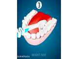6 حقیقت که باید درباره دندان ها بدانید !