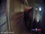 نجات جان اسب توسط ماموران پلیس هیلتون پنسیلوانیا آمریکا از آتشسوزی