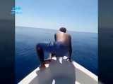 نهنگ سواری خطرناک در دریای عمان