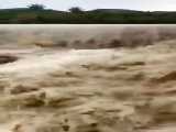 سیلاب  وحشتناک در روستای گورناگ شهرستان سرباز (سیستان و بلوچستان)
