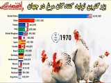 رقابت تولید مرغ بین کدوم کشورهای جهان بوده