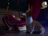 انیمیشن سینمایی : سگ مورد علاقه ملکه      2019    دوبله فارسی