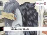 «پائولا دلفین» بزرگترین مجموعه نقاشی های برزیل را به نام خود ثبت کرد