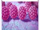 ویروس HPV چیست و چه درمانی دارد؟ (متخصص ویروس شناسی در امریکا)