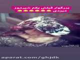 خالی بودن کمر این مشکلات رو داره