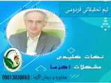اگزما و درمان آن