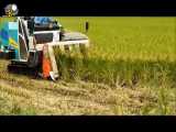 دستگاه برداشت برنج و علوفه در مزارع کشور ژاپن
