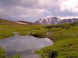 Green Highland Pond In Iran Kerman Mountains   صدای غالب دشت