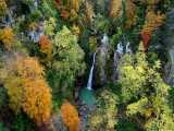 Iran in 4K   Fall in Hyrcanian Forest