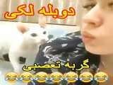 کلیپ جدید طنز