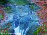 زیباترین جاذبه‌های گردشگری آبشار زمرد _ حویق - تالش