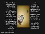 دکلمه شعر اسیر