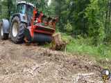 تراکتور با دستگاه مالچ سازی در جنگل که در حال خورد کردن تنه درخت بریده شده است م